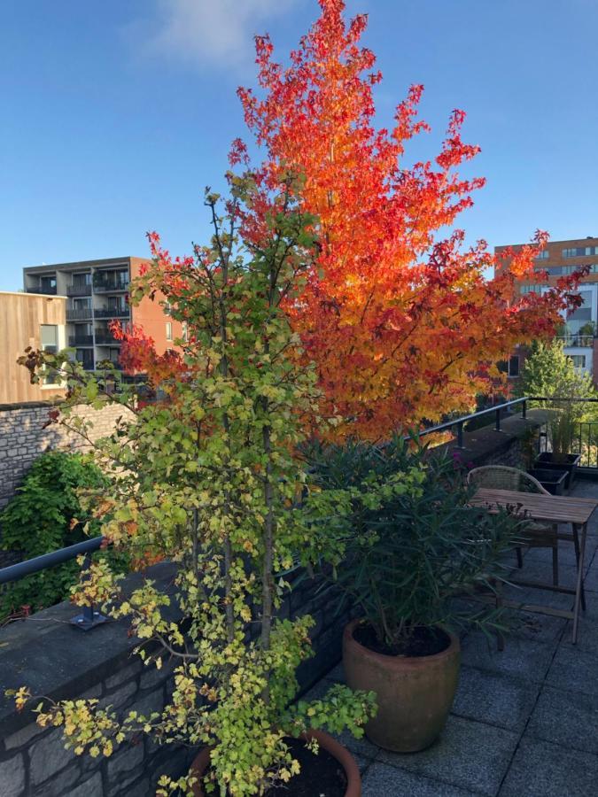 B&B De Zwanebloem Amsterdam Eksteriør billede